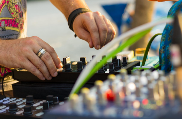 professional wedding dj